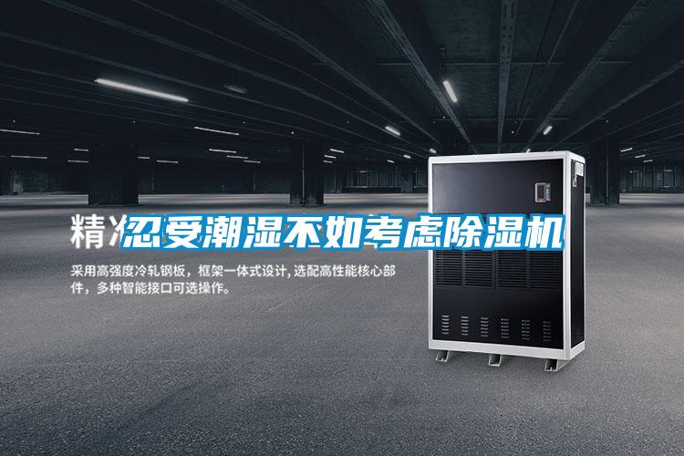 国产精品三级在线观看 忍受潮湿不如考虑除湿机
