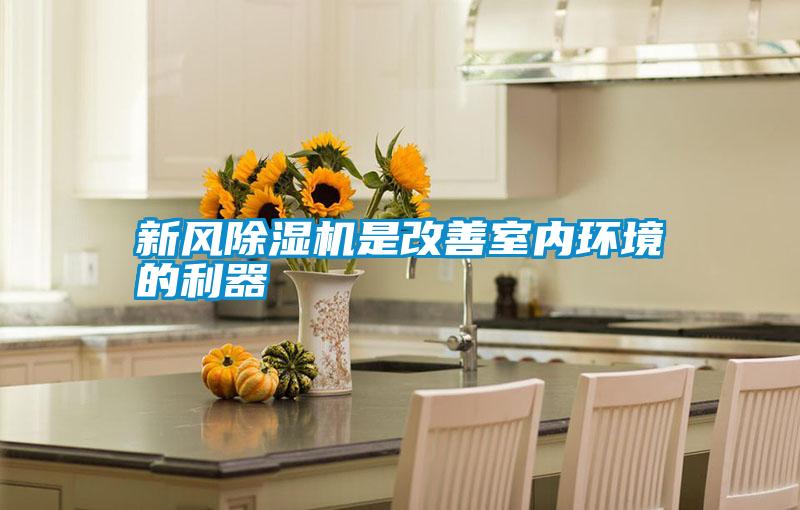 国产精品三级在线观看 新风除湿机是改善室内环境的利器
