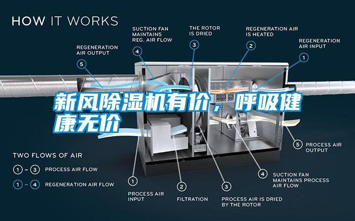 国产精品欧美激情视频 新风除湿机有价，呼吸健康无价