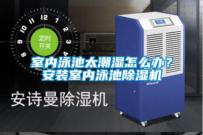 国产精品欧美激情视频 室内泳池太潮湿怎么办？安装室内泳池除湿机