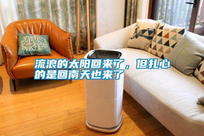 国产精品三级在线观看 流浪的太阳回来了，但扎心的是回南天也来了