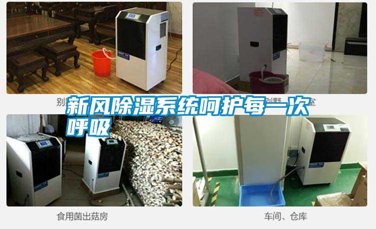 国产精品欧美激情视频 新风除湿系统呵护每一次呼吸