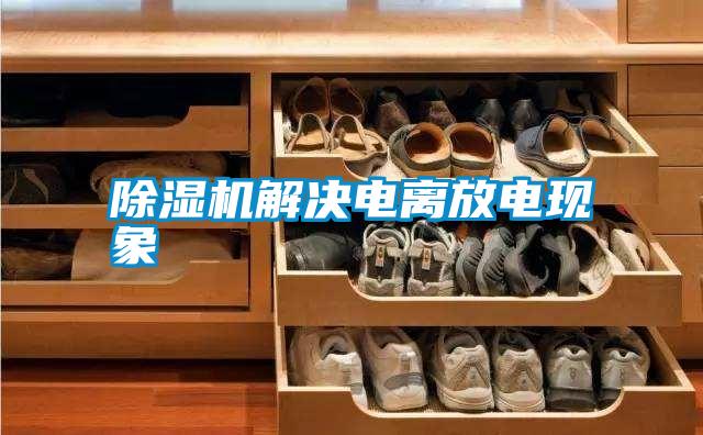 国产精品三级在线观看 除湿机解决电离放电现象
