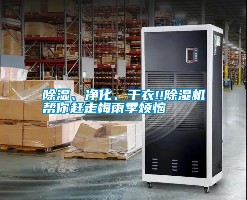 国产精品三级在线观看 除湿、净化、干衣!!除湿机帮你赶走梅雨季烦恼