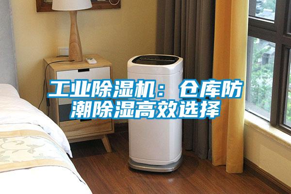 国产精品欧美激情视频 工业除湿机：仓库防潮除湿高效选择