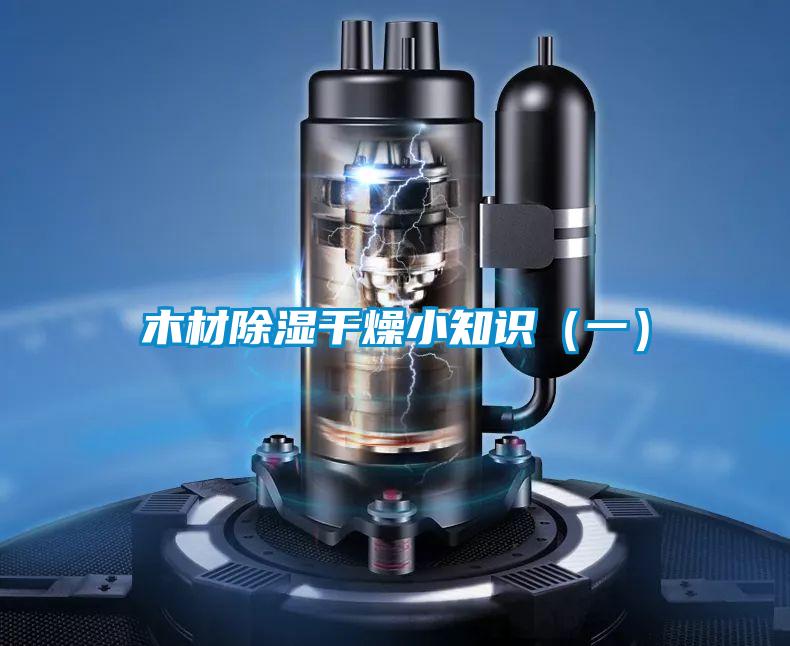 国产精品欧美激情视频 木材除湿干燥小知识（一）