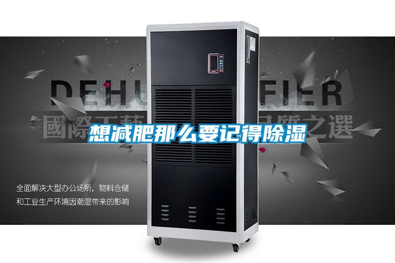 国产精品欧美激情视频 想减肥那么要记得除湿