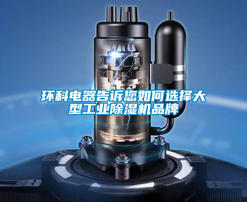 国产精品三级在线观看 环科电器告诉您如何选择大型工业除湿机品牌