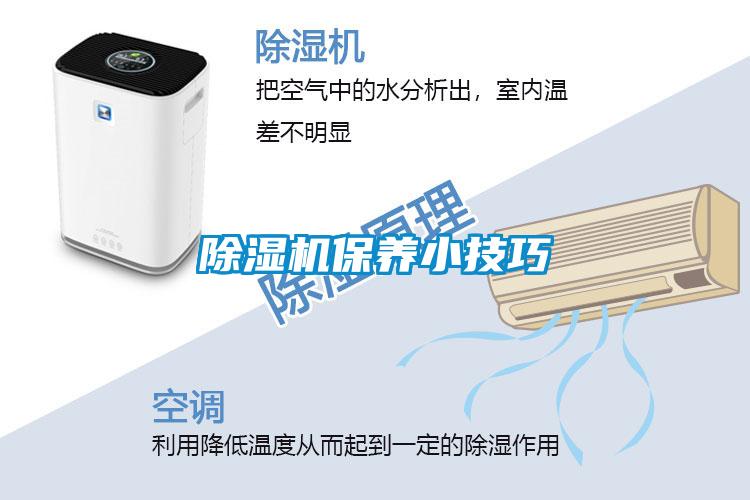 国产精品三级在线观看 除湿机保养小技巧