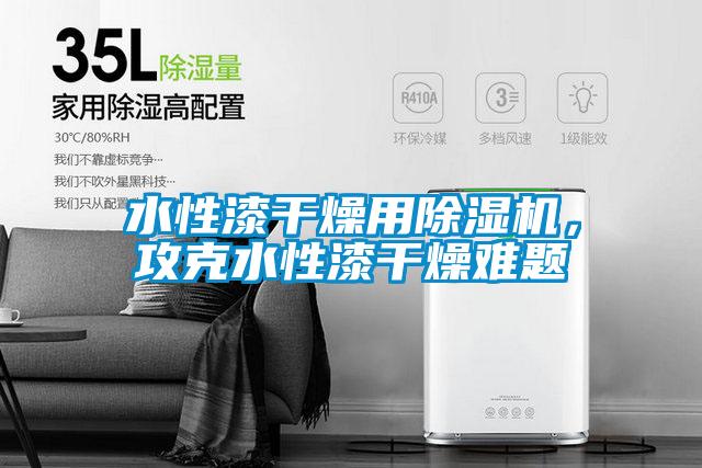 国产精品探花在线观看 水性漆干燥用除湿机，攻克水性漆干燥难题