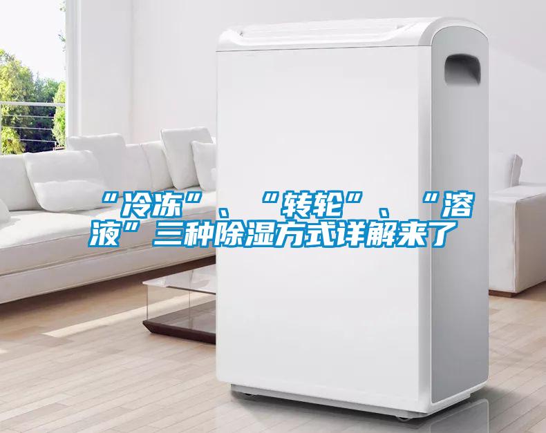 国产精品探花在线观看 “冷冻”、“转轮”、“溶液”三种除湿方式详解来了
