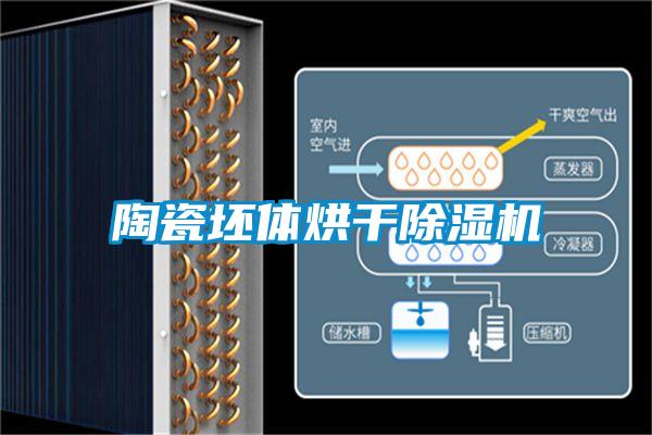 国产精品欧美激情视频 陶瓷坯体烘干除湿机