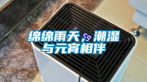 国产精品探花在线观看 绵绵雨天，潮湿与元宵相伴