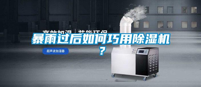 国产精品三级在线观看 暴雨过后如何巧用除湿机？