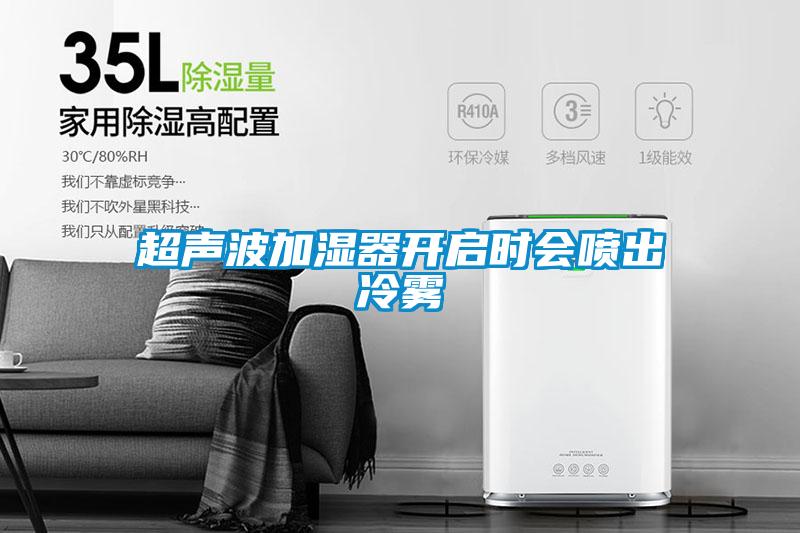 国产精品三级在线观看 超声波加湿器开启时会喷出冷雾