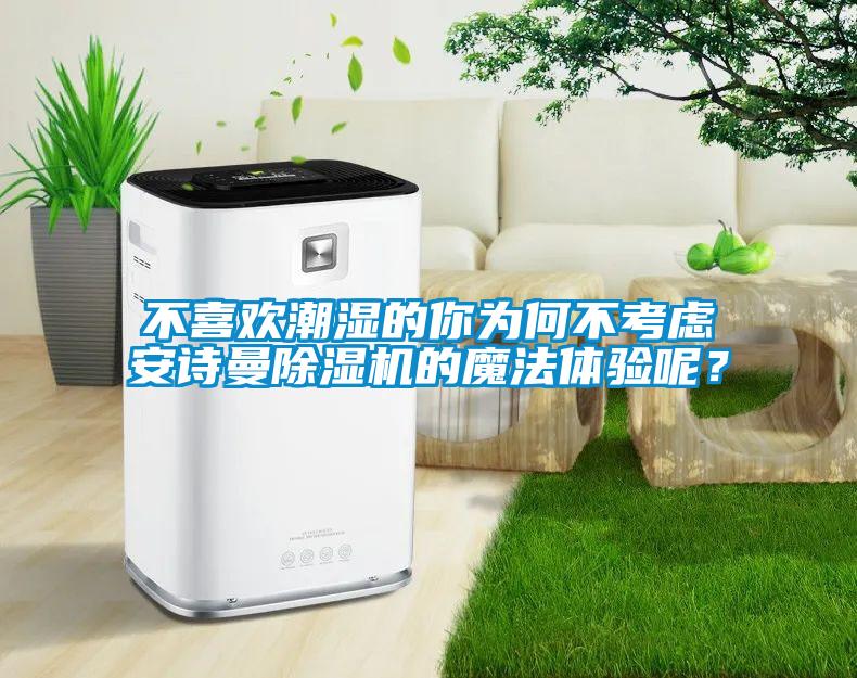 国产精品三级在线观看 不喜欢潮湿的你为何不考虑安诗曼除湿机的魔法体验呢？