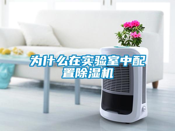国产精品探花在线观看 为什么在实验室中配置除湿机