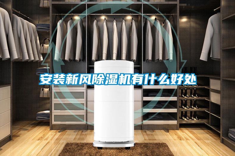 国产精品三级在线观看 安装新风除湿机有什么好处