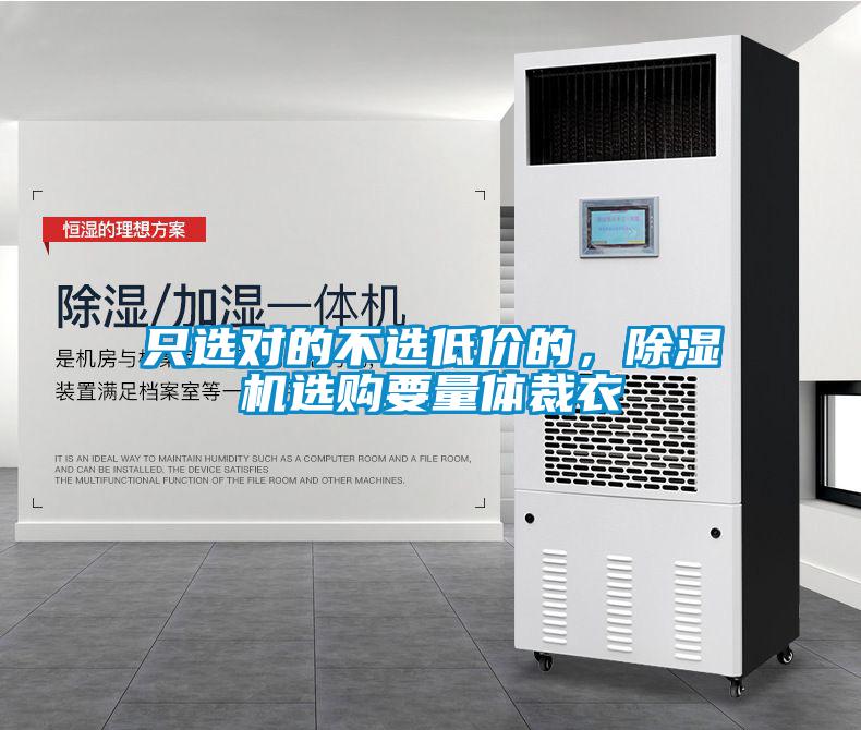 国产精品三级在线观看 只选对的不选低价的，除湿机选购要量体裁衣