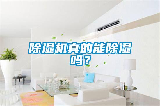 国产精品三级在线观看 除湿机真的能除湿吗？