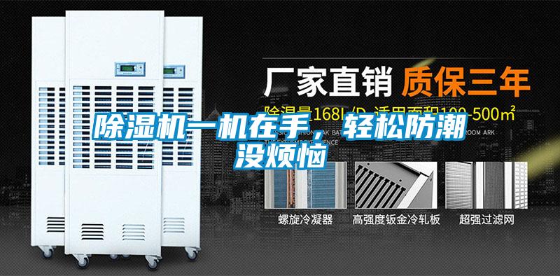 国产精品三级在线观看 除湿机一机在手，轻松防潮没烦恼