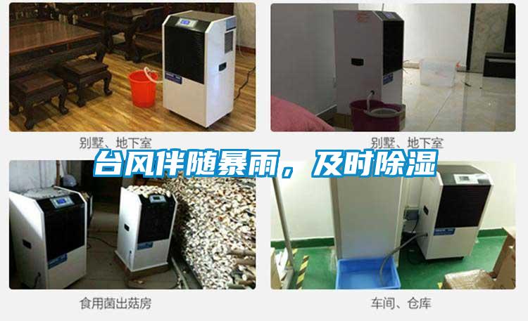 国产精品探花在线观看 台风伴随暴雨，及时除湿