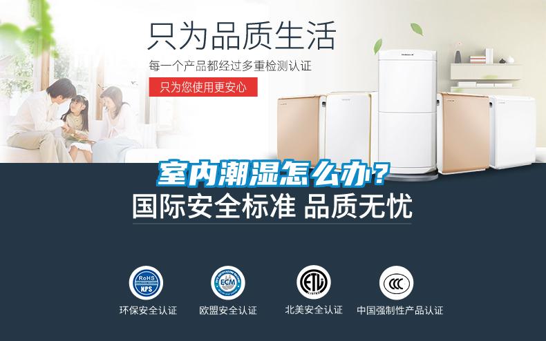国产精品三级在线观看 室内潮湿怎么办？