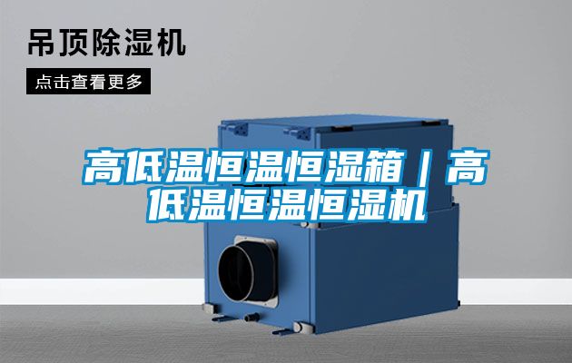 国产精品三级在线观看 高低温恒温恒湿箱｜高低温恒温恒湿机