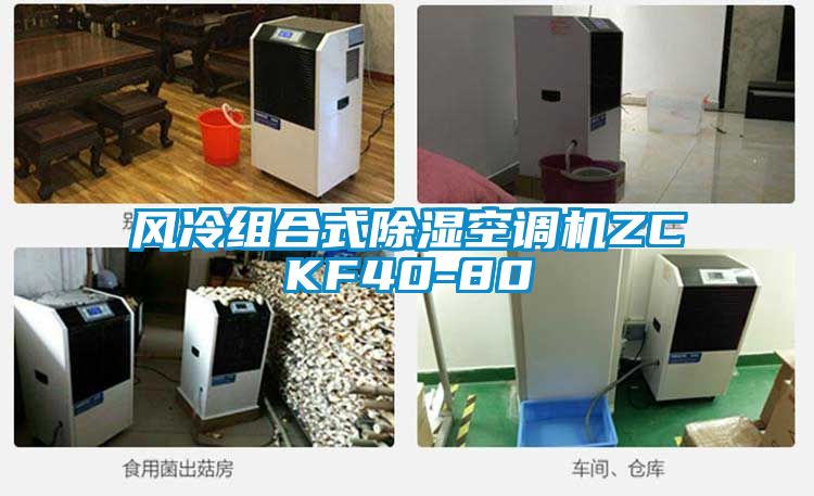 国产精品三级在线观看 风冷组合式除湿空调机ZCKF40-80