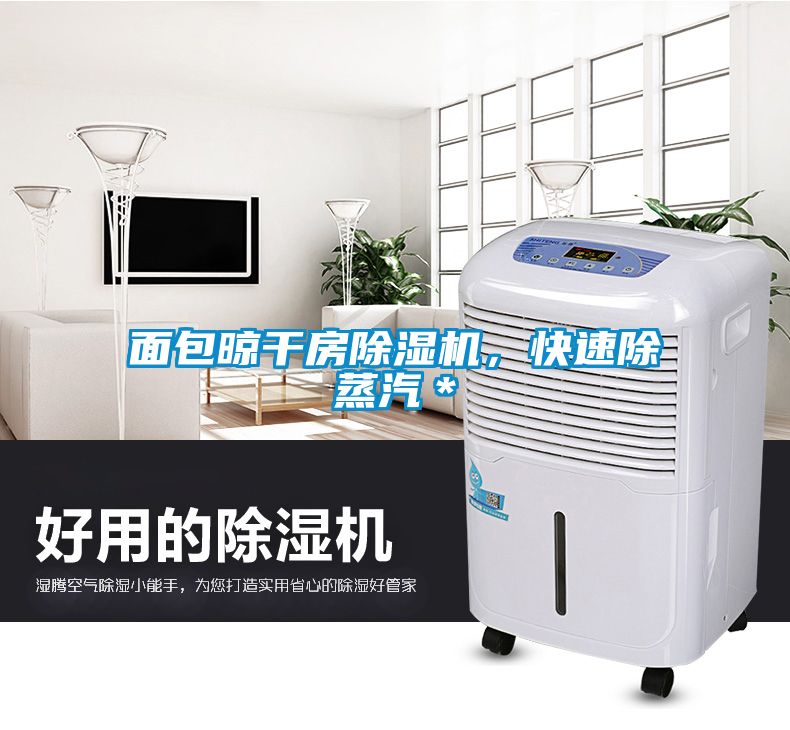 面包晾干房除湿机，快速除蒸汽＊