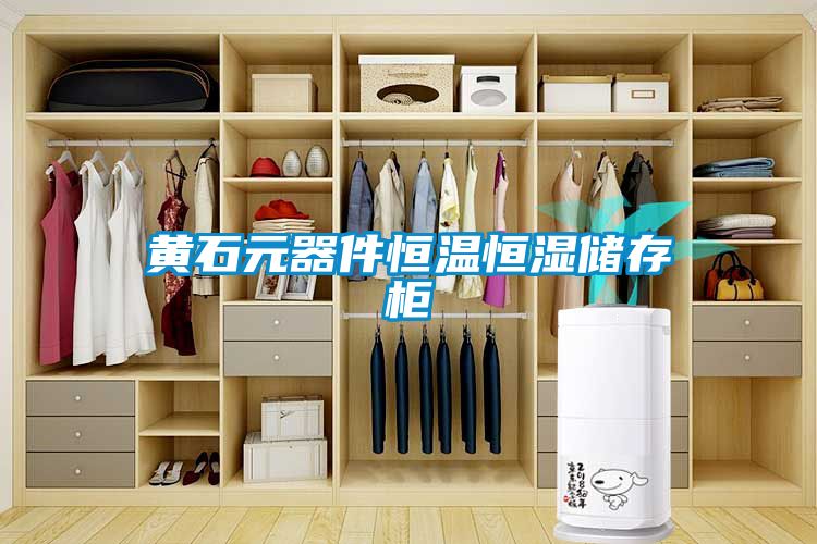 国产精品探花在线观看 黄石元器件恒温恒湿储存柜