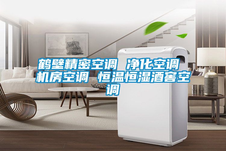 国产精品欧美激情视频 鹤壁精密空调 净化空调 机房空调 恒温恒湿酒窖空调