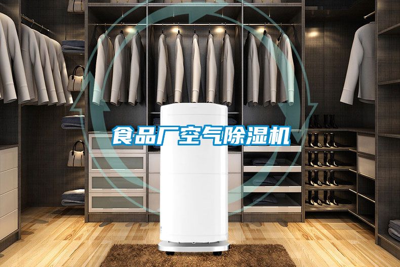 国产精品三级在线观看 食品厂空气除湿机