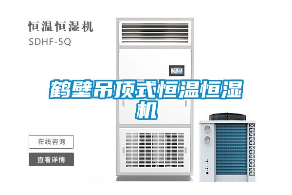 国产精品三级在线观看 鹤壁吊顶式恒温恒湿机