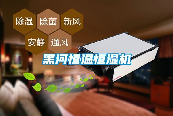 国产精品三级在线观看 黑河恒温恒湿机