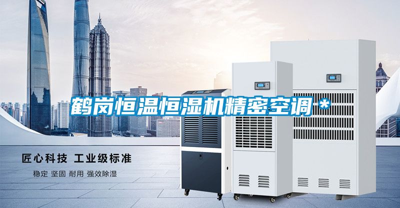 国产精品探花在线观看 鹤岗恒温恒湿机精密空调＊