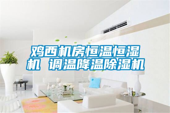 国产精品探花在线观看 鸡西机房恒温恒湿机 调温降温除湿机