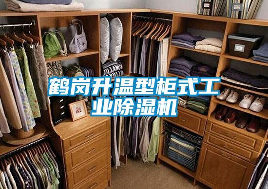 国产精品欧美激情视频 鹤岗升温型柜式工业除湿机