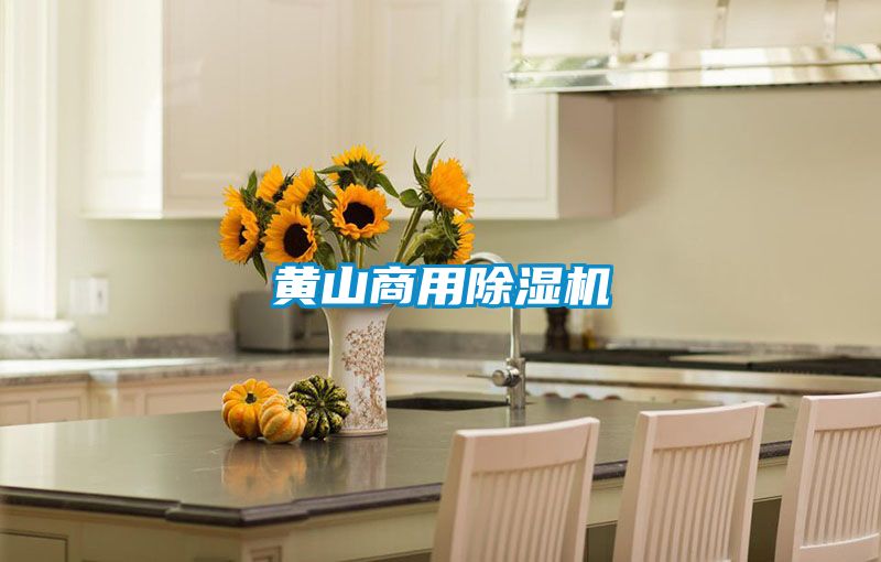 国产精品欧美激情视频 黄山商用除湿机
