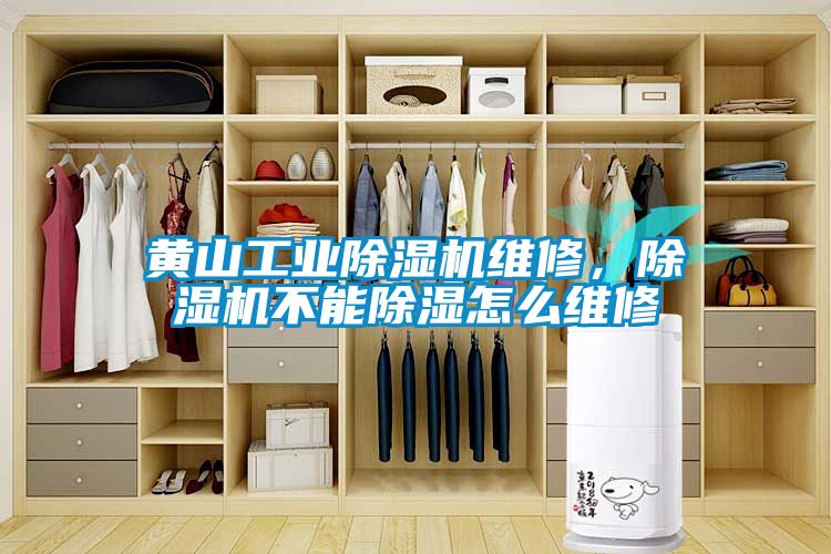 国产精品欧美激情视频 黄山工业除湿机维修，除湿机不能除湿怎么维修