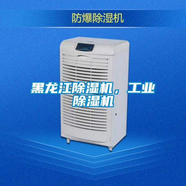 国产精品三级在线观看 黑龙江除湿机，工业除湿机