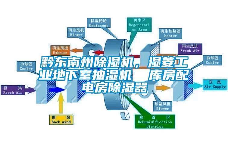 国产精品欧美激情视频 黔东南州除湿机，湿菱工业地下室抽湿机  库房配电房除湿器