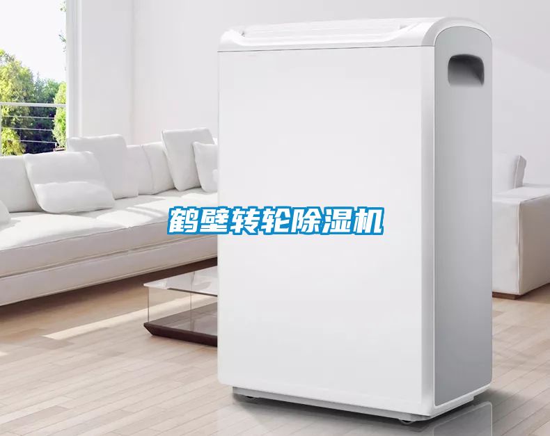 国产精品探花在线观看 鹤壁转轮除湿机